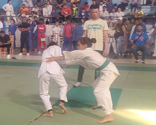 judo