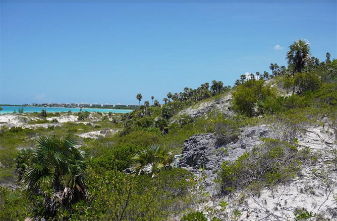  paisaje