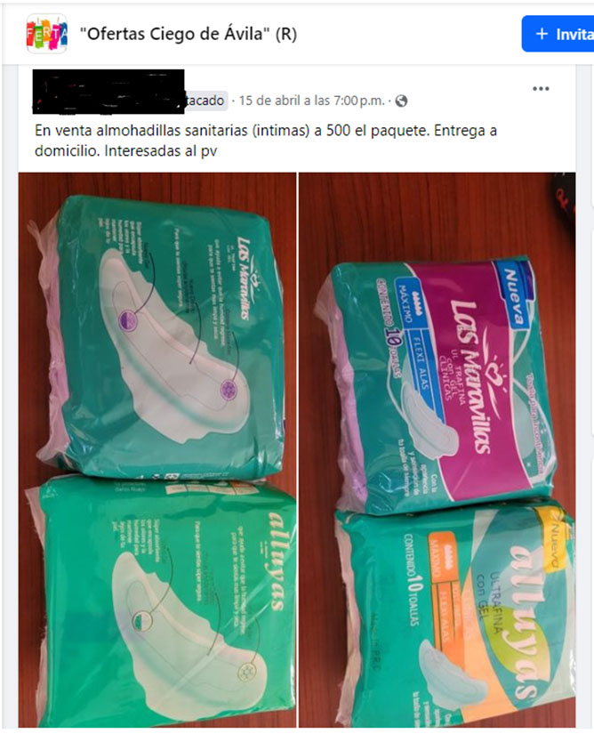  intimas