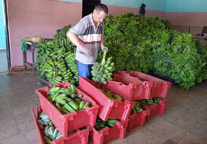 mercado