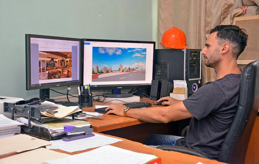 profesional