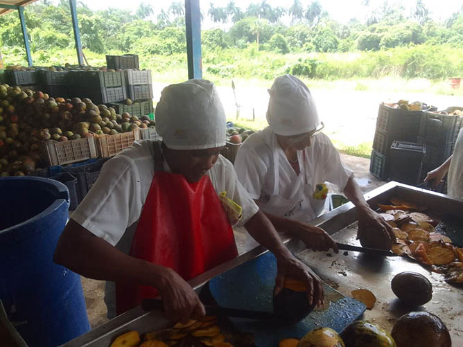 mujeres trabajo