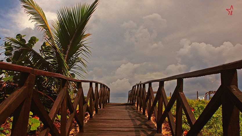  playa