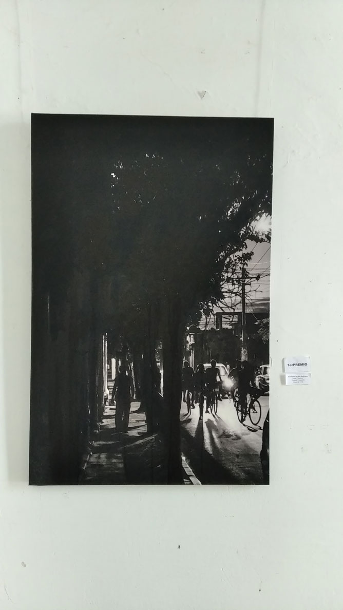 Sombras de Humberto del Ríojpg