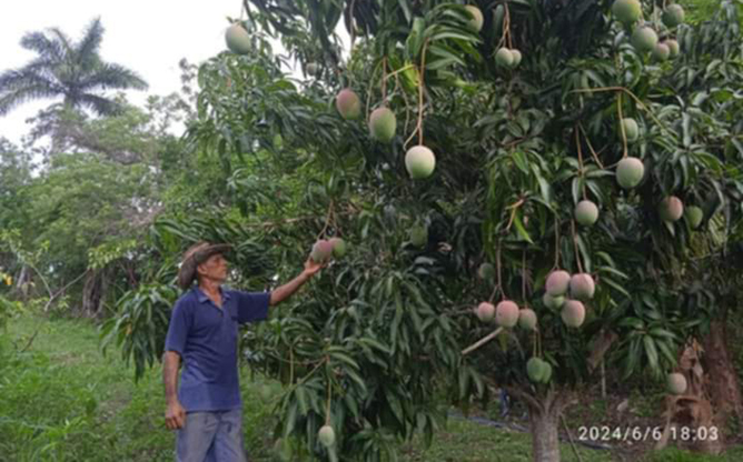 agricultura