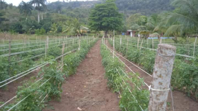 agricultura1