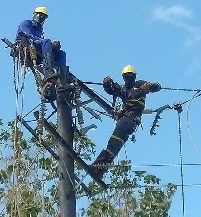  electrico