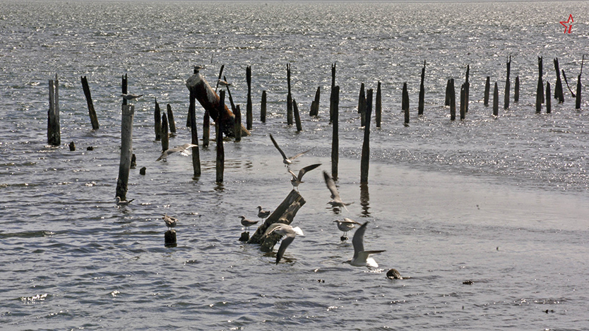 A través del proyecto Mi Costa se trabaja para fortalecer la resiliencia costera al cambio climático jucaro 07