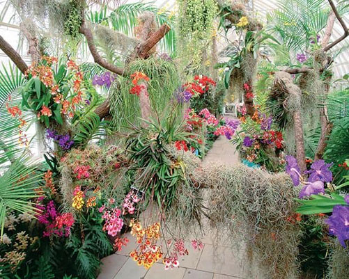  orquideario