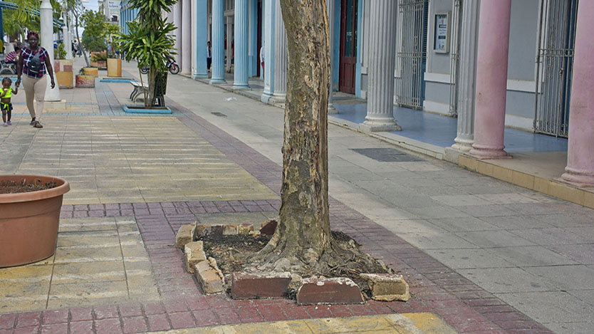  bulevar