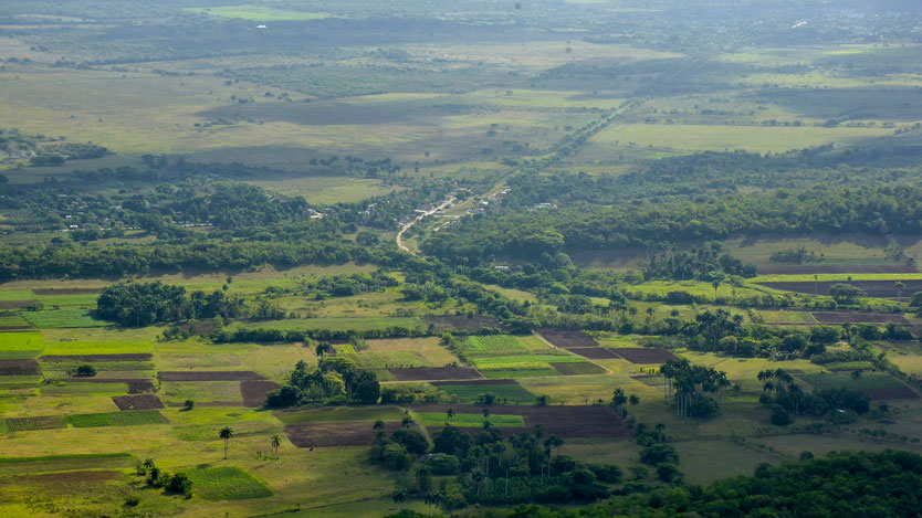 marti 08