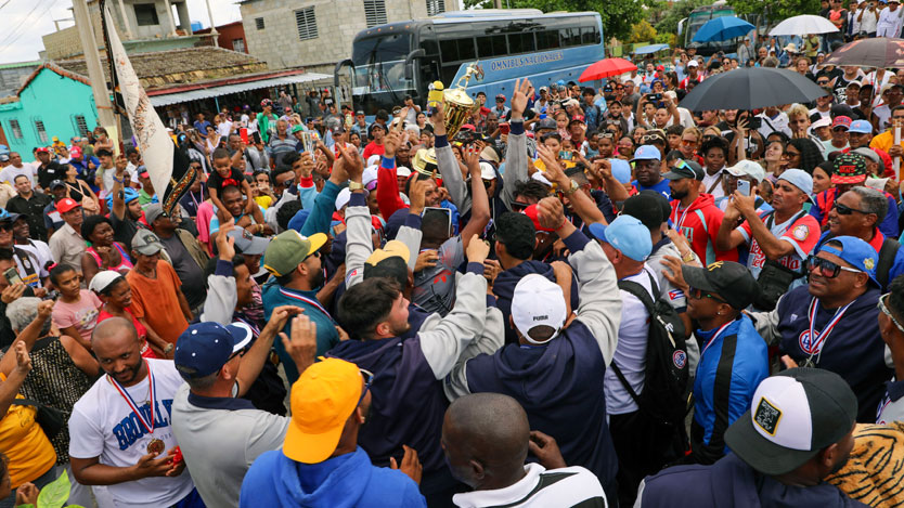 tigres 06