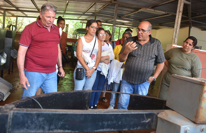 sustentabilidad alimentaria cav3