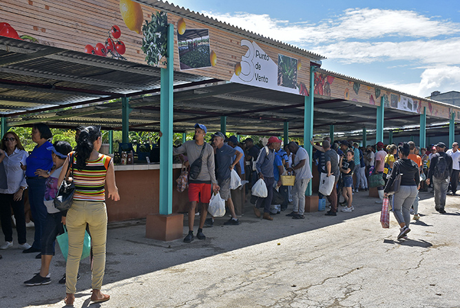 panoramica publico afluencia