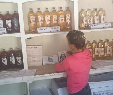 bodega