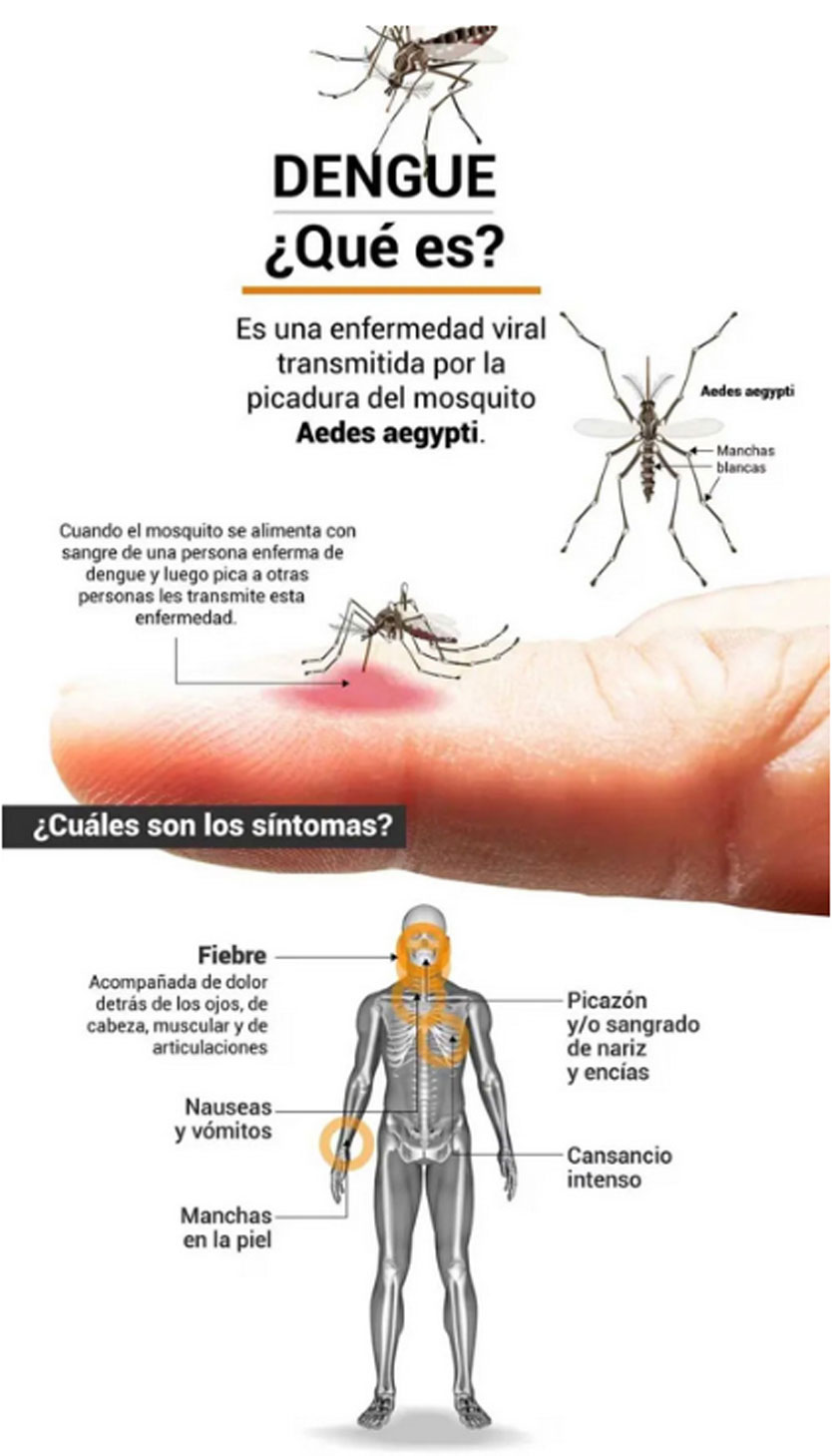 dengue