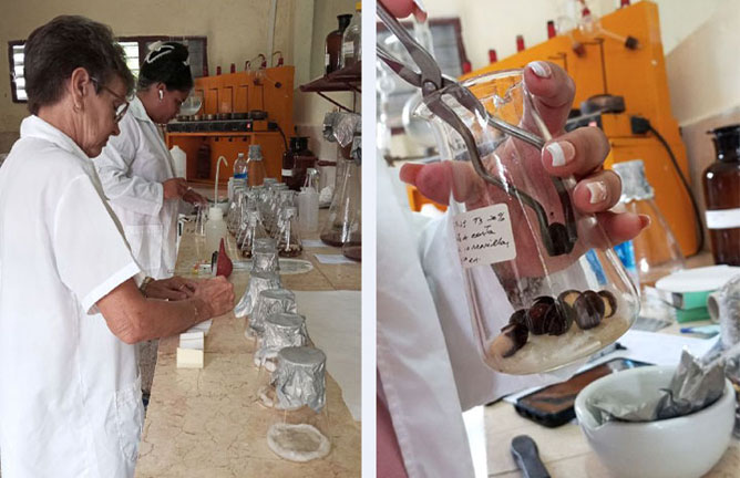 proyectos gran humedal