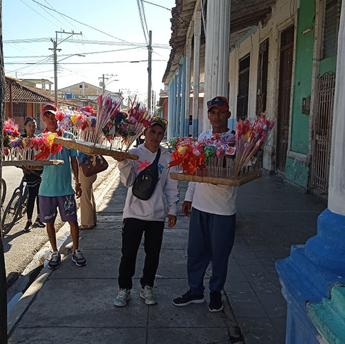  venta flores