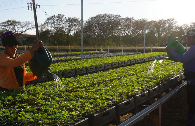 igualdad de genero comunidades costeras4