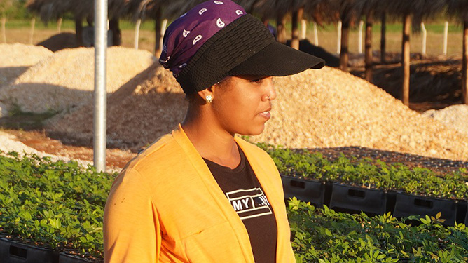 Vivero Tecnificado El Júcaro 1