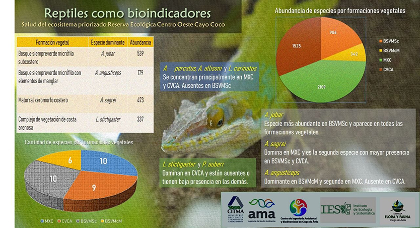inter investigaciones cientificas8