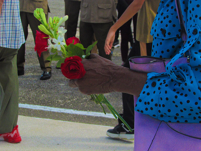  flores