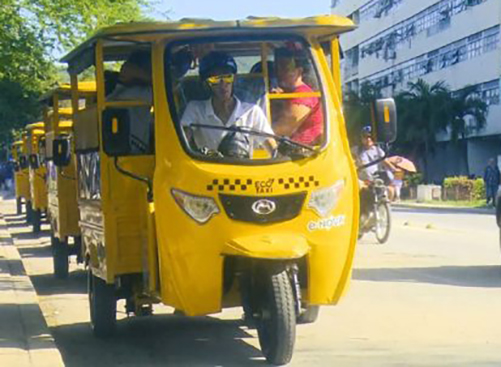 ecotaxis