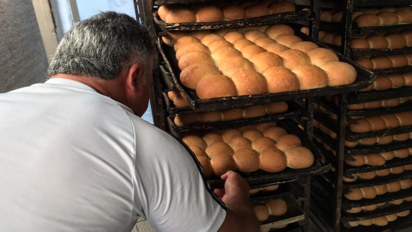 Produccioón de pan normado