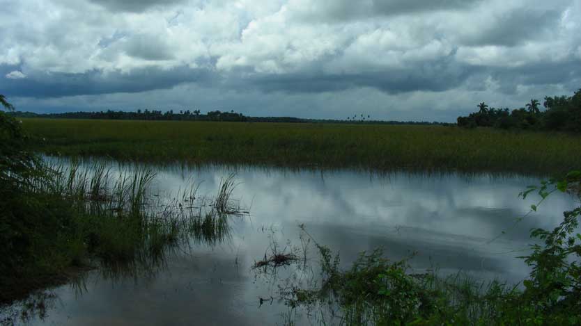 Fotos: Cortesía del Refugio de Fauna El Venero