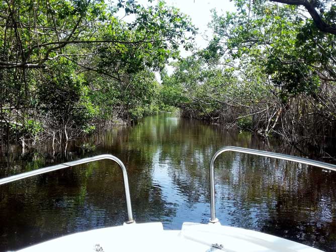 cienaga2