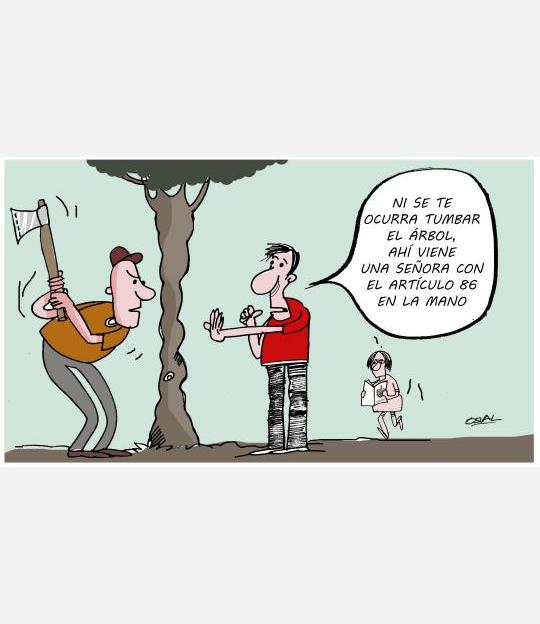 Caricatura: El Estado protege el medio ambiente
