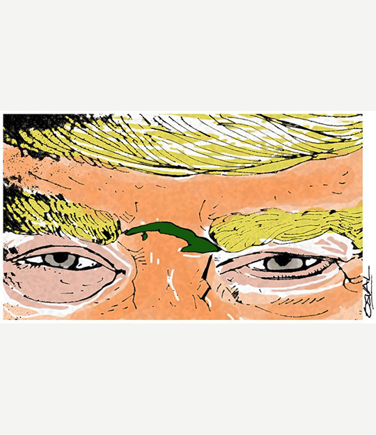 Caricatura: Entre cejas