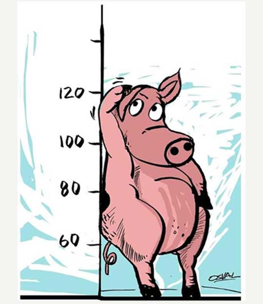 Caricatura: Carne de cerdo