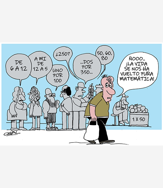 Caricatura: Vida matemática