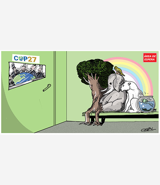 Caricatura: En espera COP27