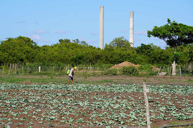  agricultura